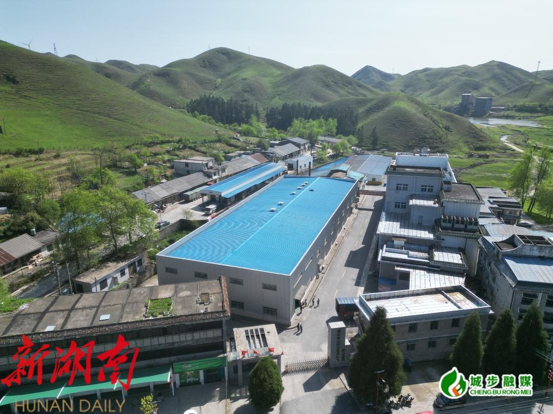 湖南南山牧业有限公司:苗乡乳业奶香飘 振兴路上谱新章_邵阳头条网